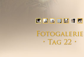 Fotogalerie Tag 2