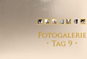 Fotogalerie Tag 2